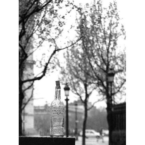 Photo n°1