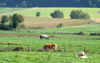 DSCF0454_1.jpg