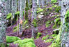 DSCF4081_2.jpg