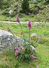 DSCF4163_2.jpg