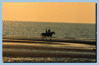 Deauville_13.gif