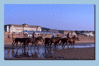 Deauville_5.gif