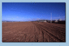Deauville_7.gif