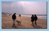 Deauville_9.gif
