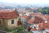 Photo_1_1~0.jpg