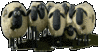 Filename : Thais_2.gif
Filesize : 154KB
Dimensions : 180x97
Date added : Feb 22, 2010 Thais_2.gif